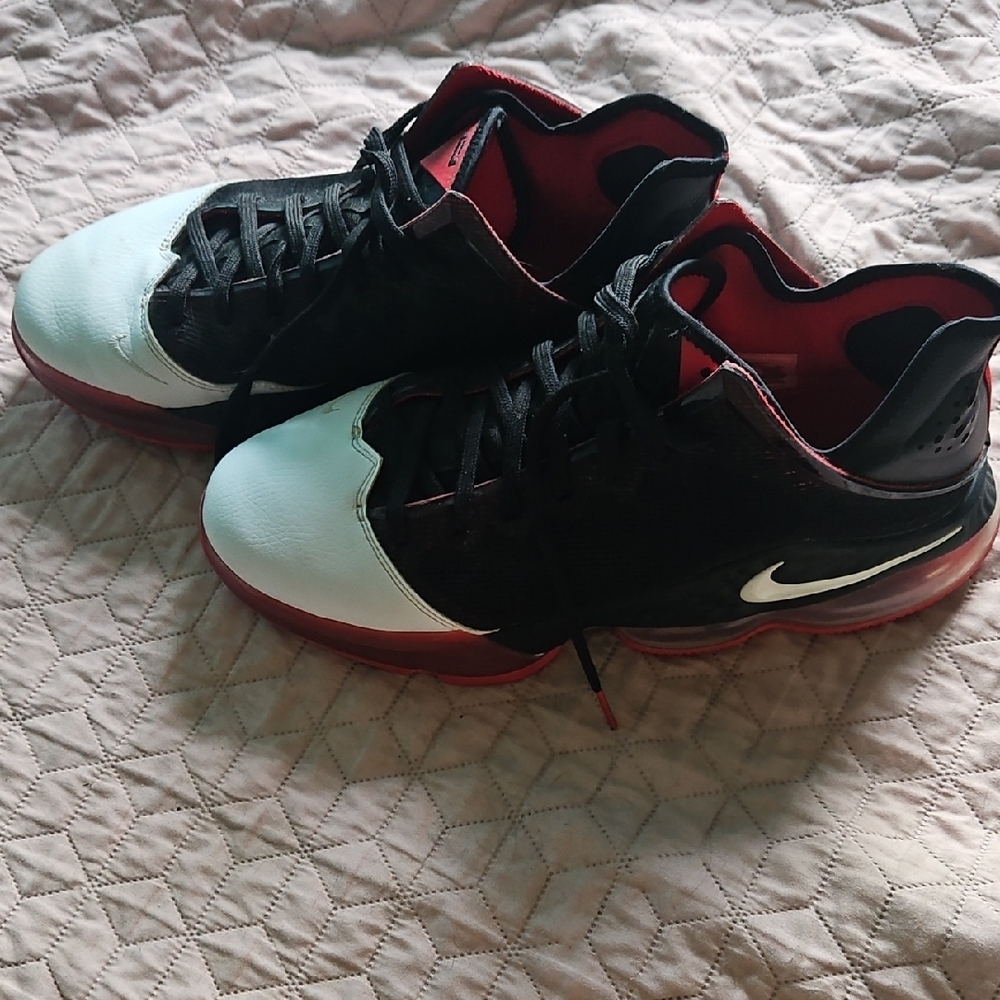 Nike Men's LeBron's